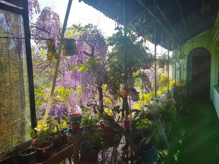 4 cam centr proprie ETAJ 1 zona Centrala - 9