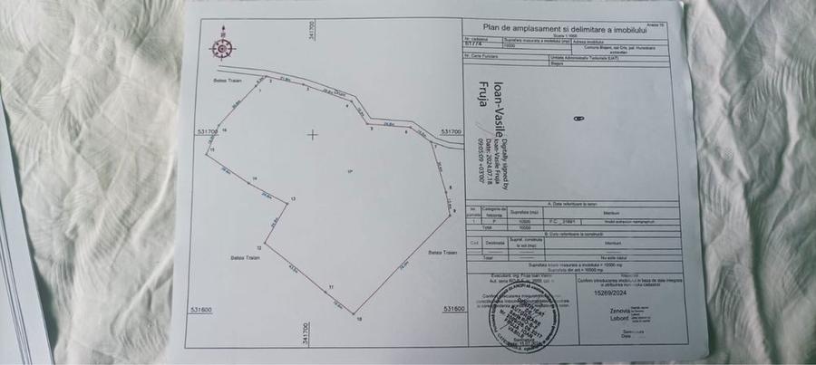 Se vinde teren-10 hectare in comuna Blajeni judetul Hunedoara - 6