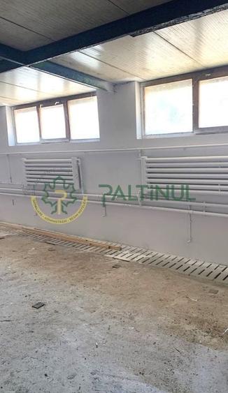 Spațiu depozitare 700 mp &icirc;n Cristian, Sibiu - 3 km de Aeroport - 3