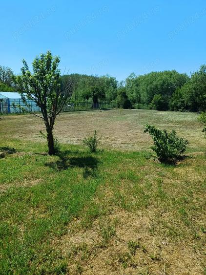 Casa Crevedia Mare Giurgiu - 6