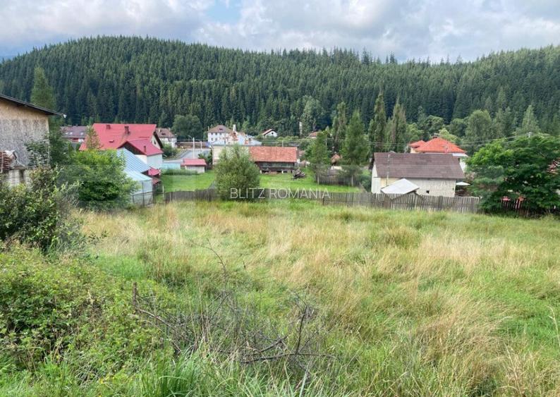 Teren Vatra Dornei 1504 mp