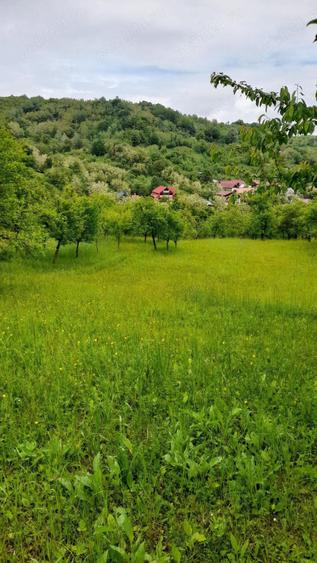 Casa de vanzare in Curita,com.Casin,jud.Bacau - 2