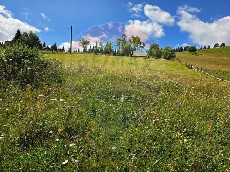 Teren de vis în Fundata 1934mp sau 3868mp, la înălțimea sufletului tău - 9