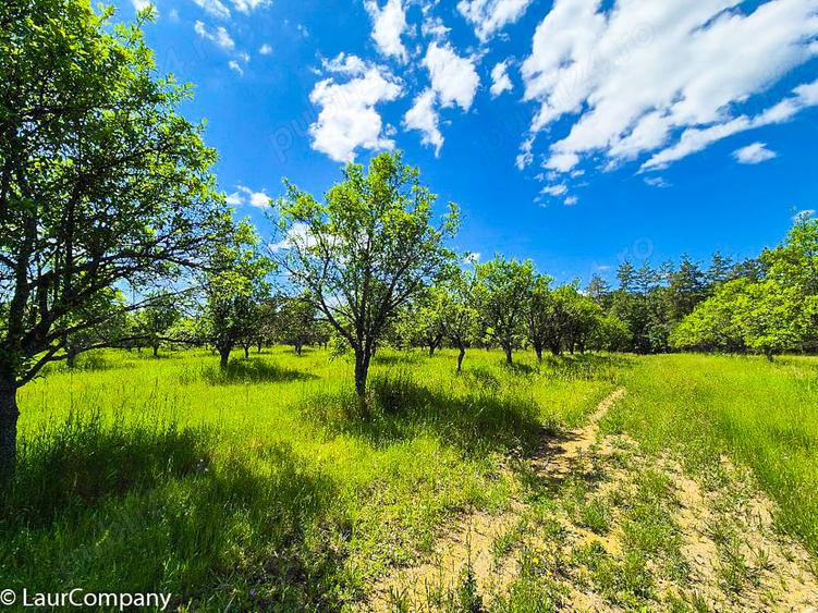 Teren intravilan Cotmeana Arges - 6