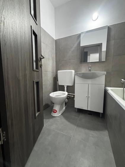 Berceni Emil Racoviță 2 camere - 17