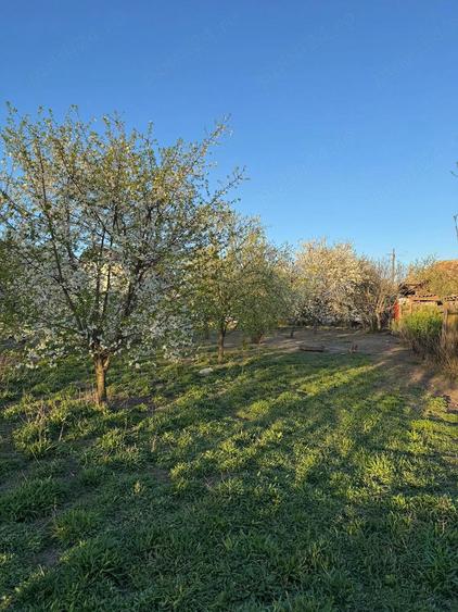 Vand casa cu gradina in Vanju-Mare jud. MH, situata intr-o zona buna si linistita a orasului. - 3