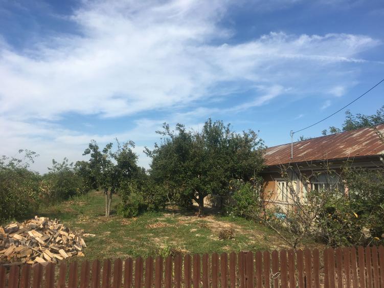 Casa batraneasca Comuna Crivat Jud.Calarasi direct proprietar - 7