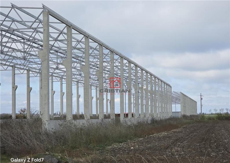 Depozit/hala/spatiu industrial Mogosoaia - Buftea - 8