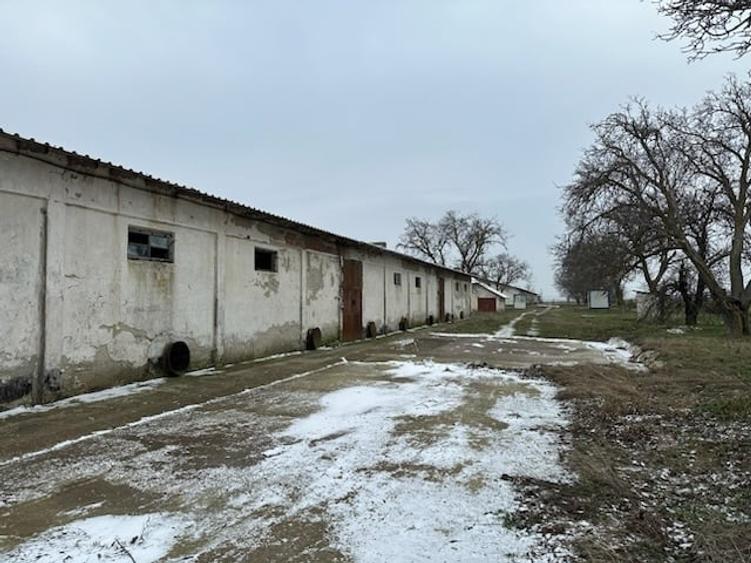 DEPOZIT CEREALE - CEAMURLIA DE JOS/STATIA CFR TVA INCLUS - 8