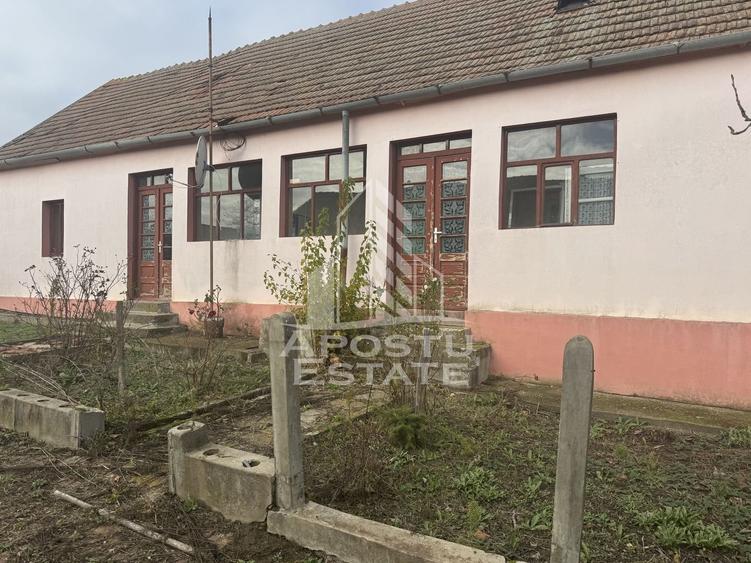 Casa veche cu teren de 2518 mp - 1