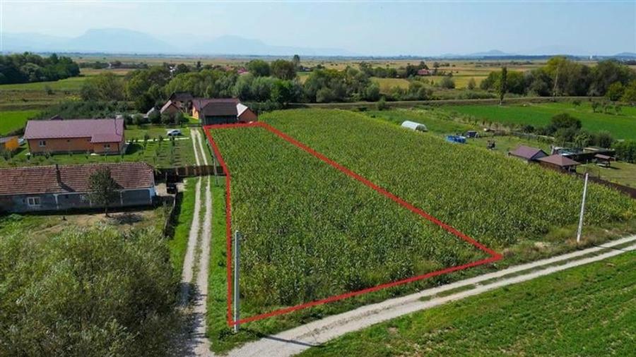 Teren intravilan, pe 2.000mp, Bacel, Covasna - 4