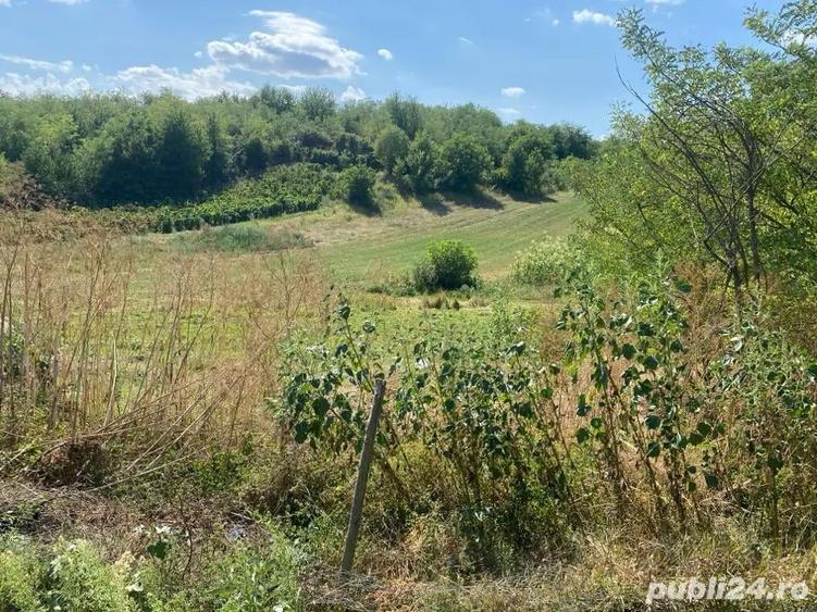 teren de vanzare - 1