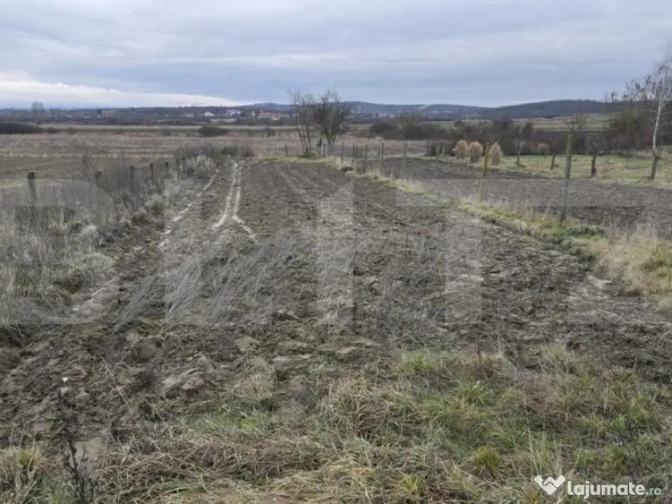 Teren intravilan - livada si vie- 20 ari - Viile SATU MARE - 2