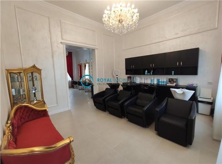 Royal Imobiliare -vanzari vile zona Ultracentral - 12
