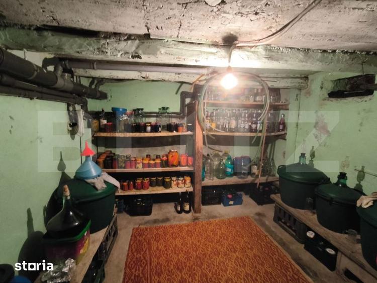 Gospodarie deosebita, casa de locuit, spatiu comercial, 155 mpu si 200 - 8