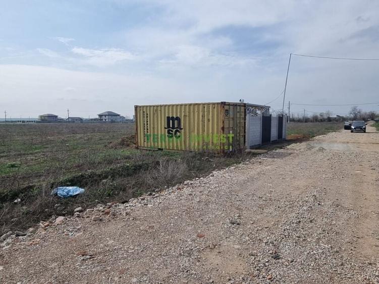 TEREN INDUSTRIAL 20.000 MP - TANGANU - A2 PUZ APROBAT - 6