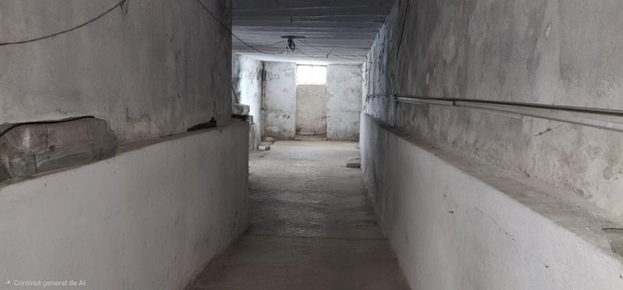 Investiție imobiliară – Teren 305 mp + 2 clădiri – aproape de Piața Unirii - 10