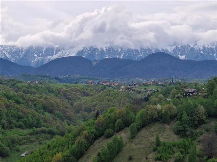 7.000 mp, pozitie spectaculoasa, fara vecini, Fundatica, Brasov - 15