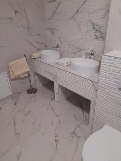 CASA  DEOSEBITA LA  SACALAZ IN SUPRAFATA DE 153 MP - 20