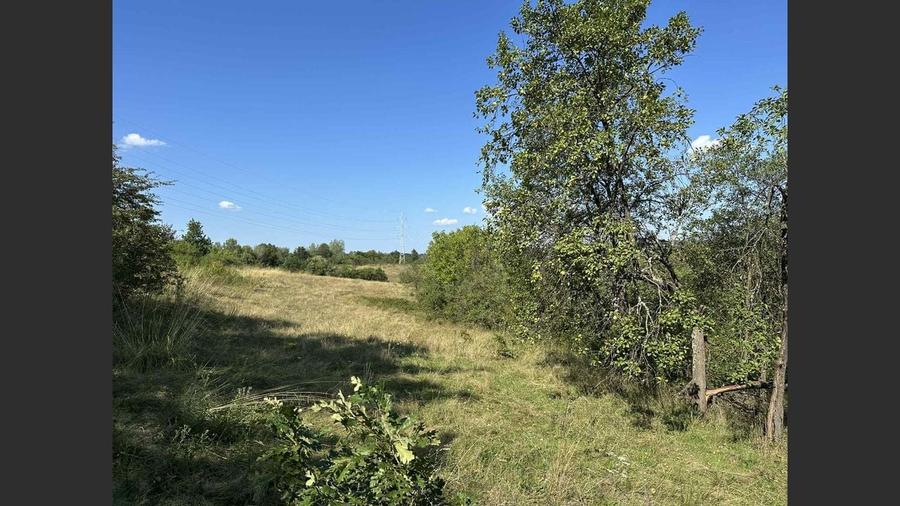 Vânzare teren Reșița: 17260 mp, Calea Caransebeșului - 2