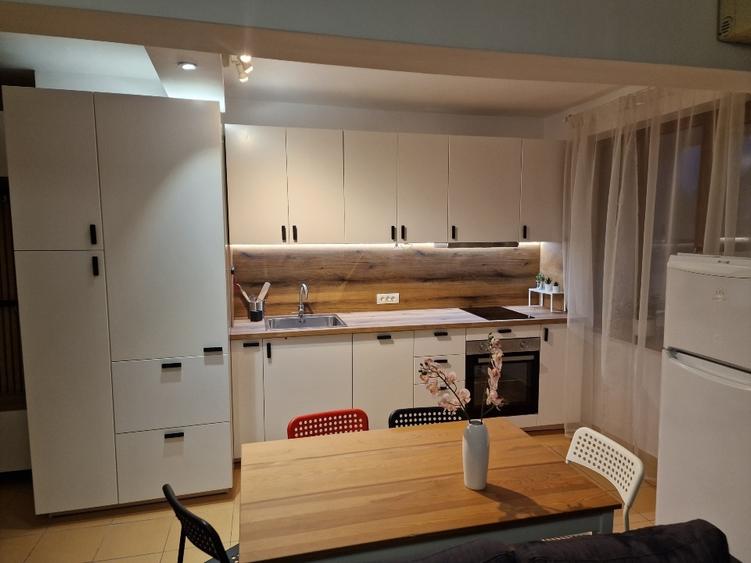 Proprietar, ap 2 camere, Timisoara, ultracentral - 2