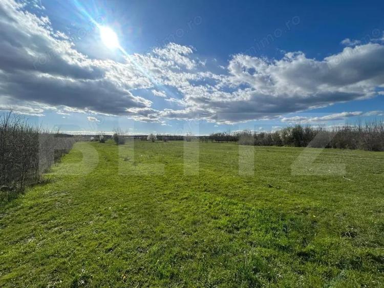 TEREN | RANCACIOV | 2000 MP | 700 INTRAVILAN | - 1