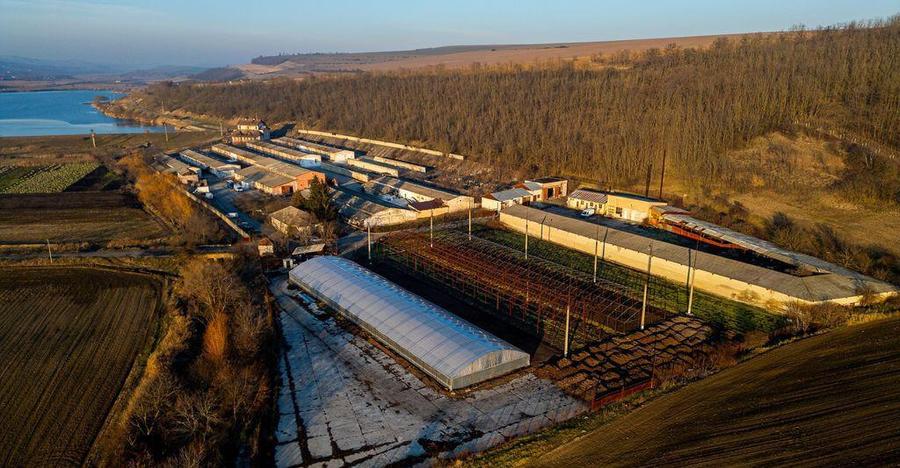 Fosta Ferma a Partidului de la Horgesti - de vanzare - 3