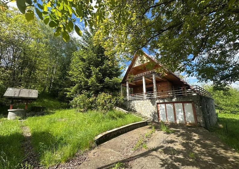 VIGAFON - Casa 4 camere Homoraciu - 7