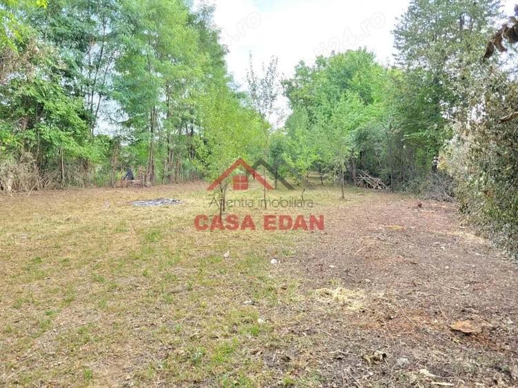 Teren intravilan in Banesti--2093mp--59.000e - 10