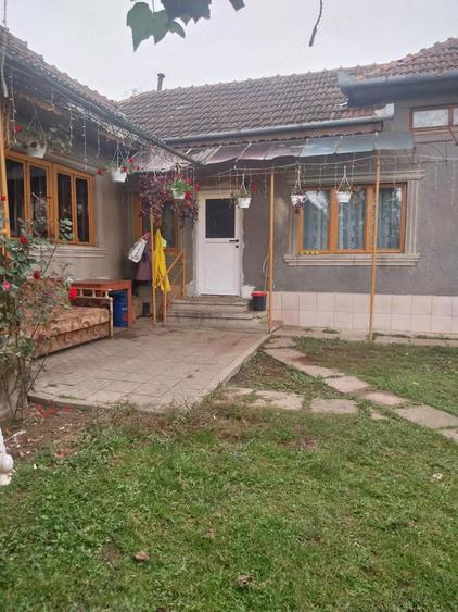 casa de vinzare sat Tohesti com Halmagel jud Arad - 4