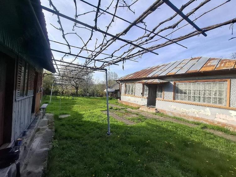 casa batraneasca si teren - 4