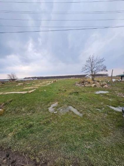 Teren intravilan pentru  investiție  - 8