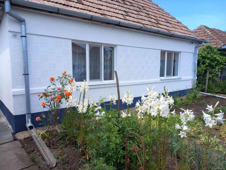 Casa la Tarnaveni 82.000 euro.negociabil! - 3