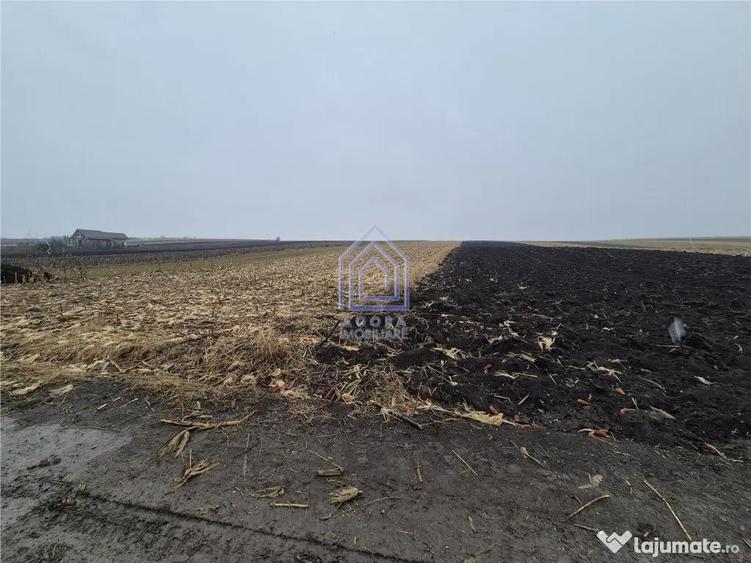 Teren intravilan Moara Carp - zona Ponoare - 3