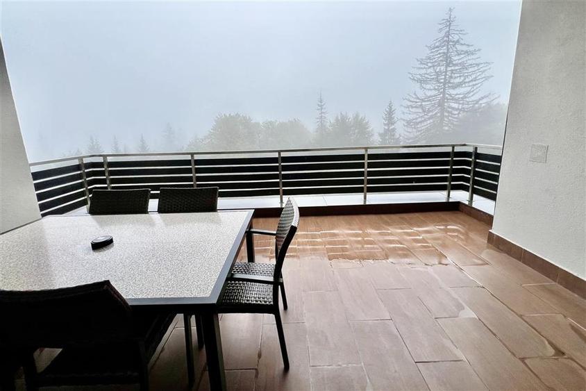 Proprietate exclusivista 4 camere Silver Mountain - 22