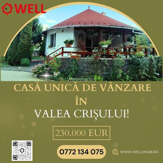 Casă unică de vânzare în Valea Crișului!