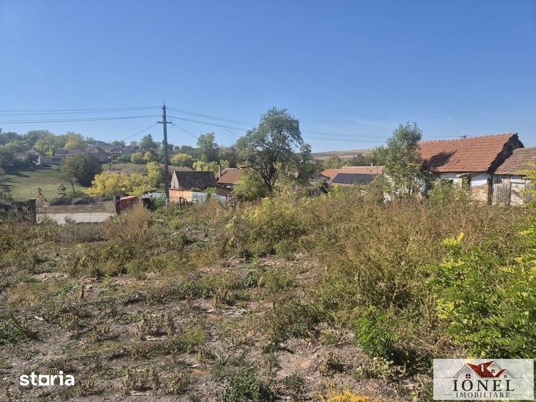 Teren de 1000 mp, în Berghin