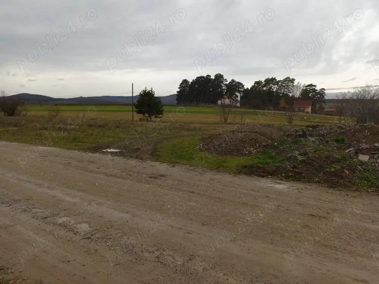 Teren de 2200 mp, în Valea Crișului