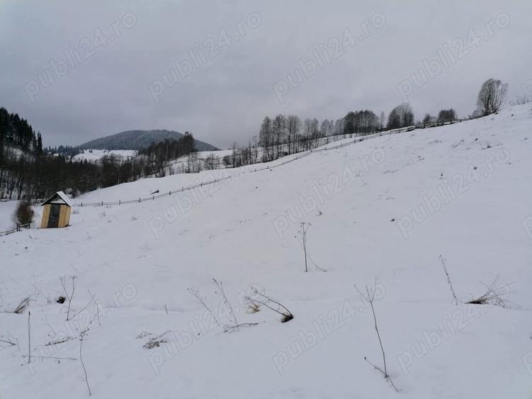 Teren 12.066 mp intravilan de vanzare in Bucovina Comuna Breaza Zona Breaza De sus - 2