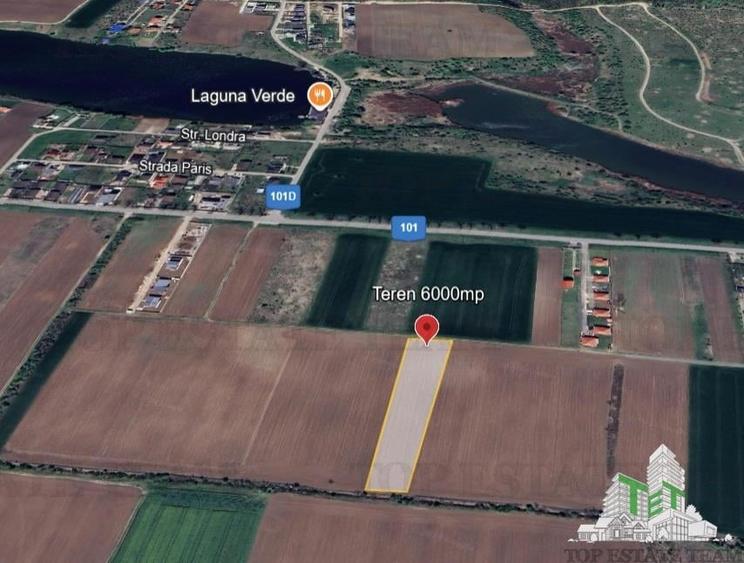 Teren Construcții intravilan de 6000 mp, în Moara Vlăsiei