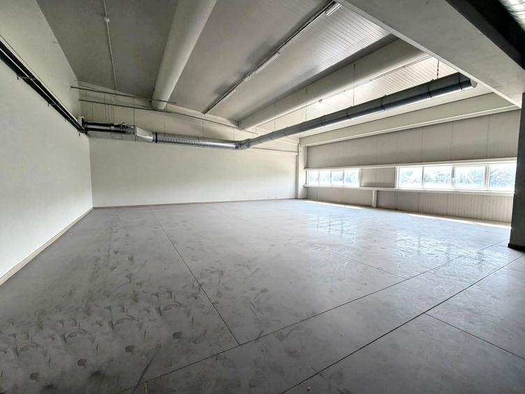 Spatiu mixt de inchiriat in Oradea, productie sau servicii, zona Calea Bihorului - 2