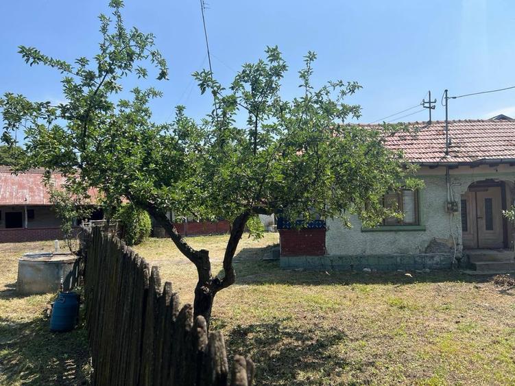Casa batraneasca de vanzare Ceptura de Jos - 5
