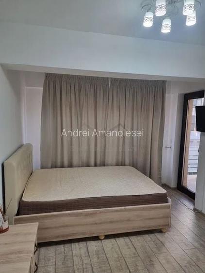Apartament 1 camera complex Brown Luxury Valea Lupului