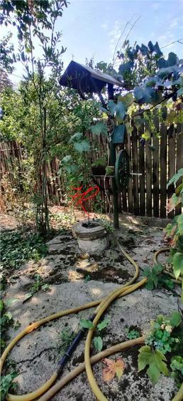 Vanzare teren Colentina - Moroeni - 6