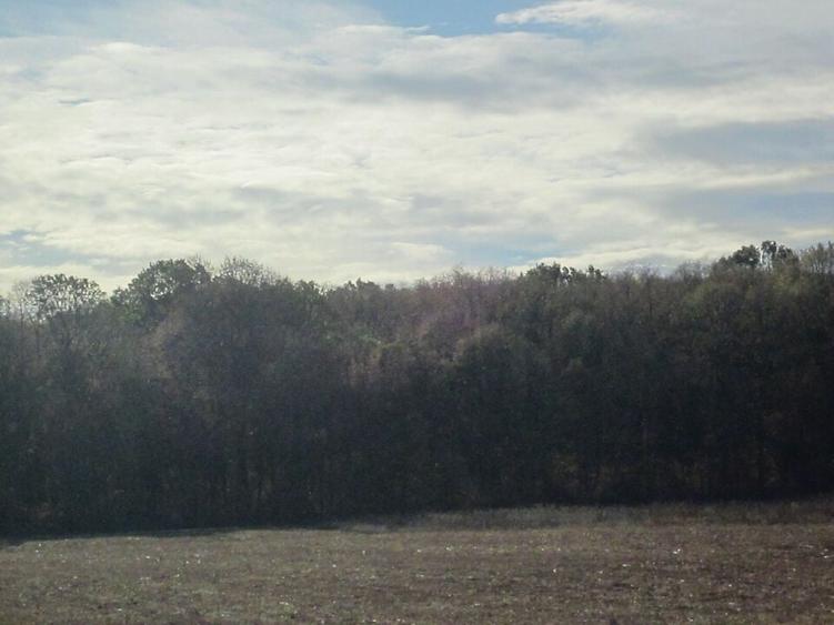 Teghes-Caragea Voda - 3