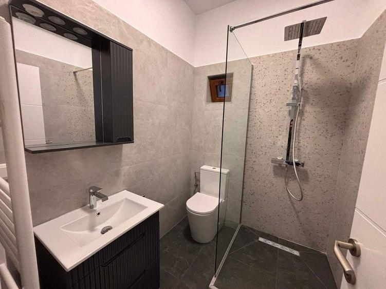 Se inchiriaza 3 garsoniere, Bd Ilie Balacin nr 40 , aproape de Stadionul Ion Oblemenco, centrul orasului, Parcul Nicolae Romanescu, Parcul Tineretului - 3