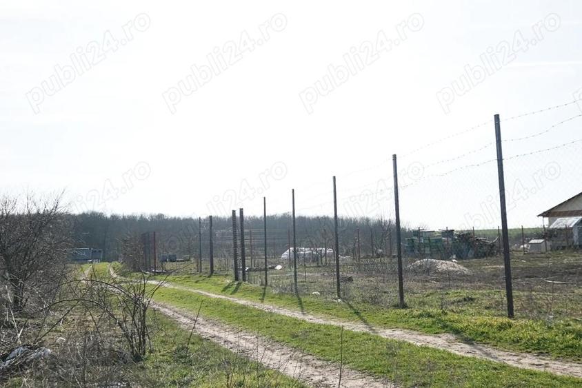 Super ocazie ! Ganeasa langa Balta si padure, 1.075 mp. teren intravilan - 2