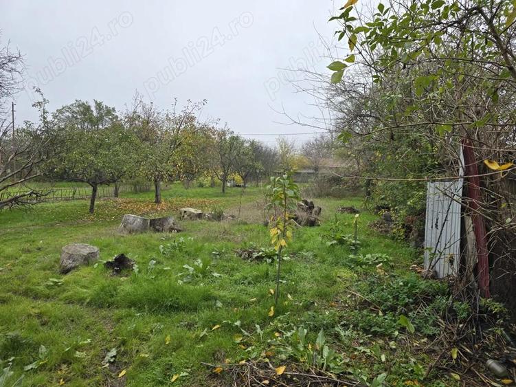 Vand Case comuna Vedea judetul Giurgiu - 3