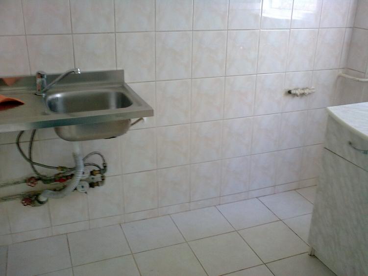 Teiul Doamnei, Bucur Obor, Colentina, garsoniera - 4