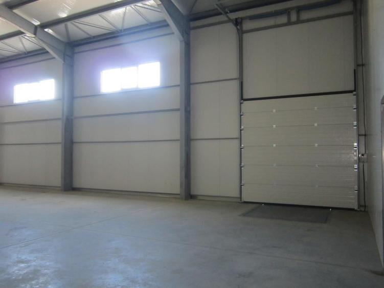 ZONA EST - Theodor Pallady - DRUMUL INTRE TARLALE - A2 - 2